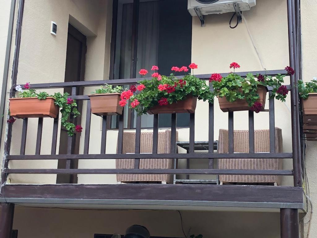 Tinikos Guest House Telavi Exterior foto