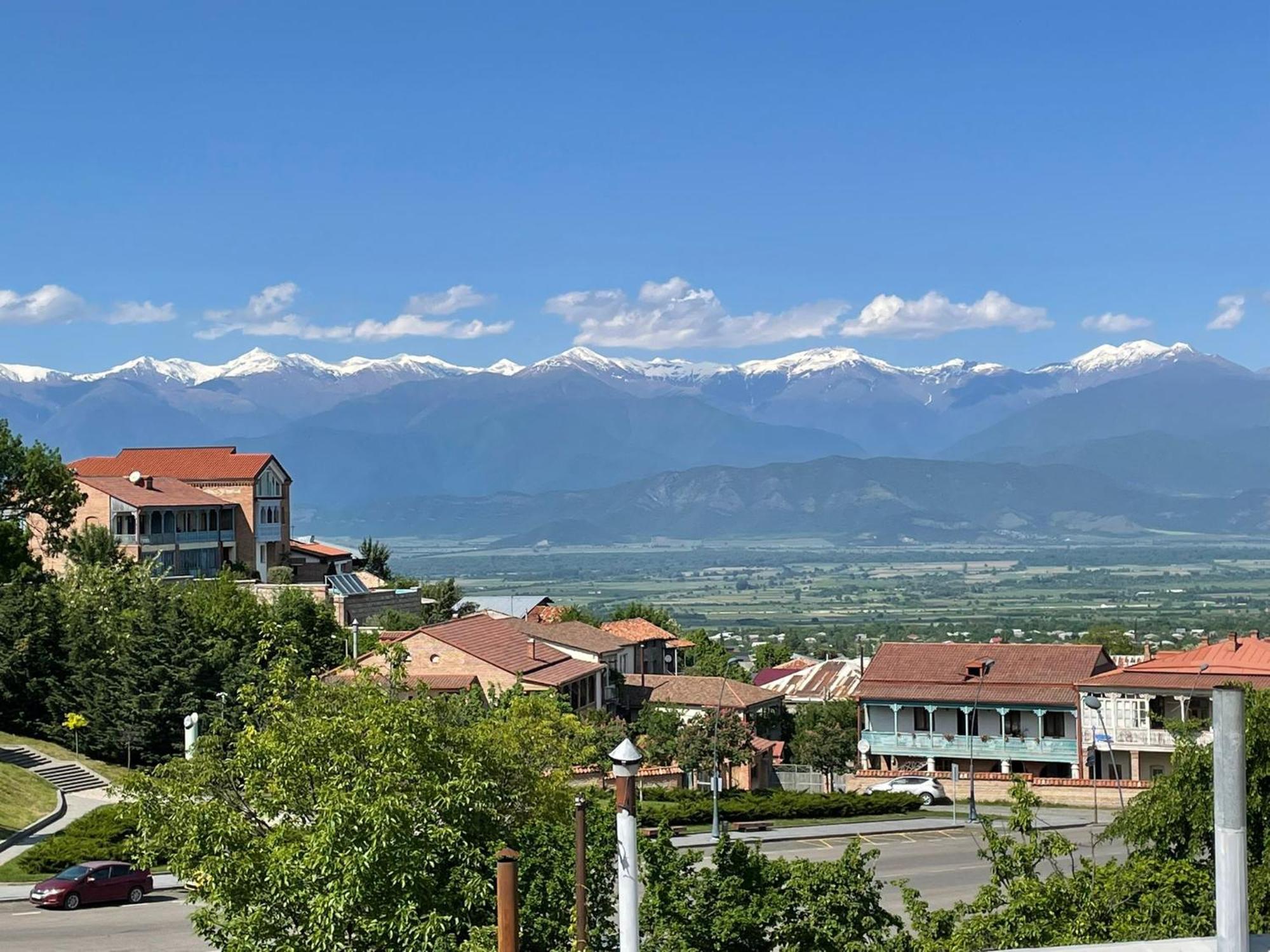 Tinikos Guest House Telavi Exterior foto