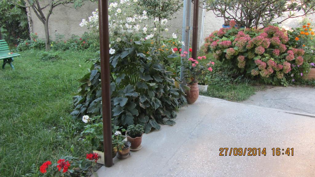Tinikos Guest House Telavi Exterior foto